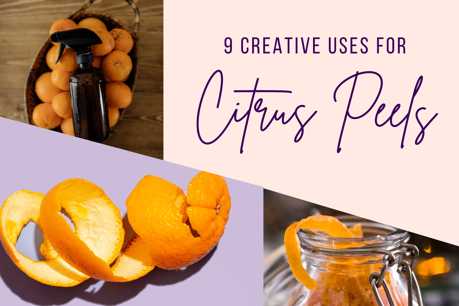 9 Creative Uses For Orange Peels - ThirdLeaf NW